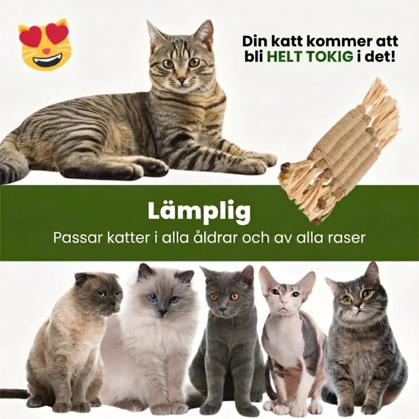 Matatabi Sticks - Naturliga Tuggpinnar för Katter