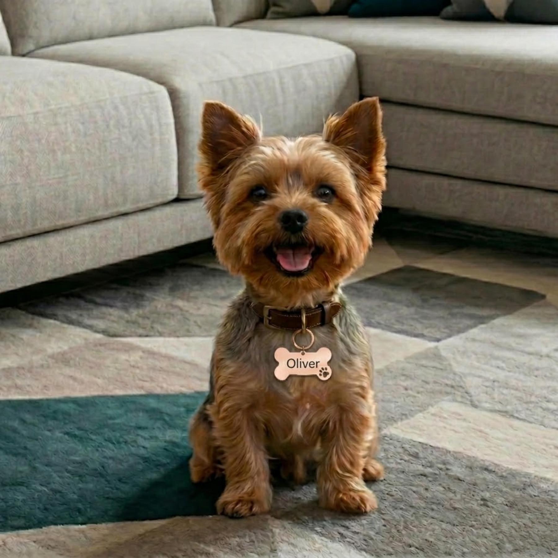 PawTag Personlig Hundskylt, bild 2