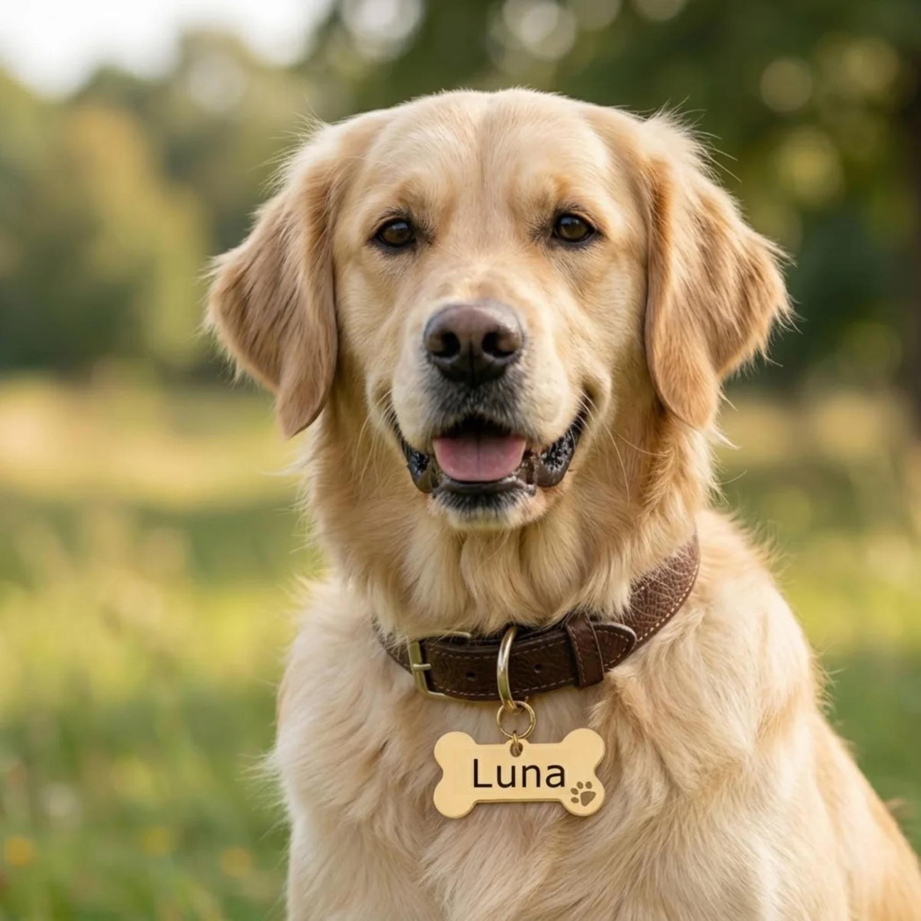 PawTag Personlig Hundskylt