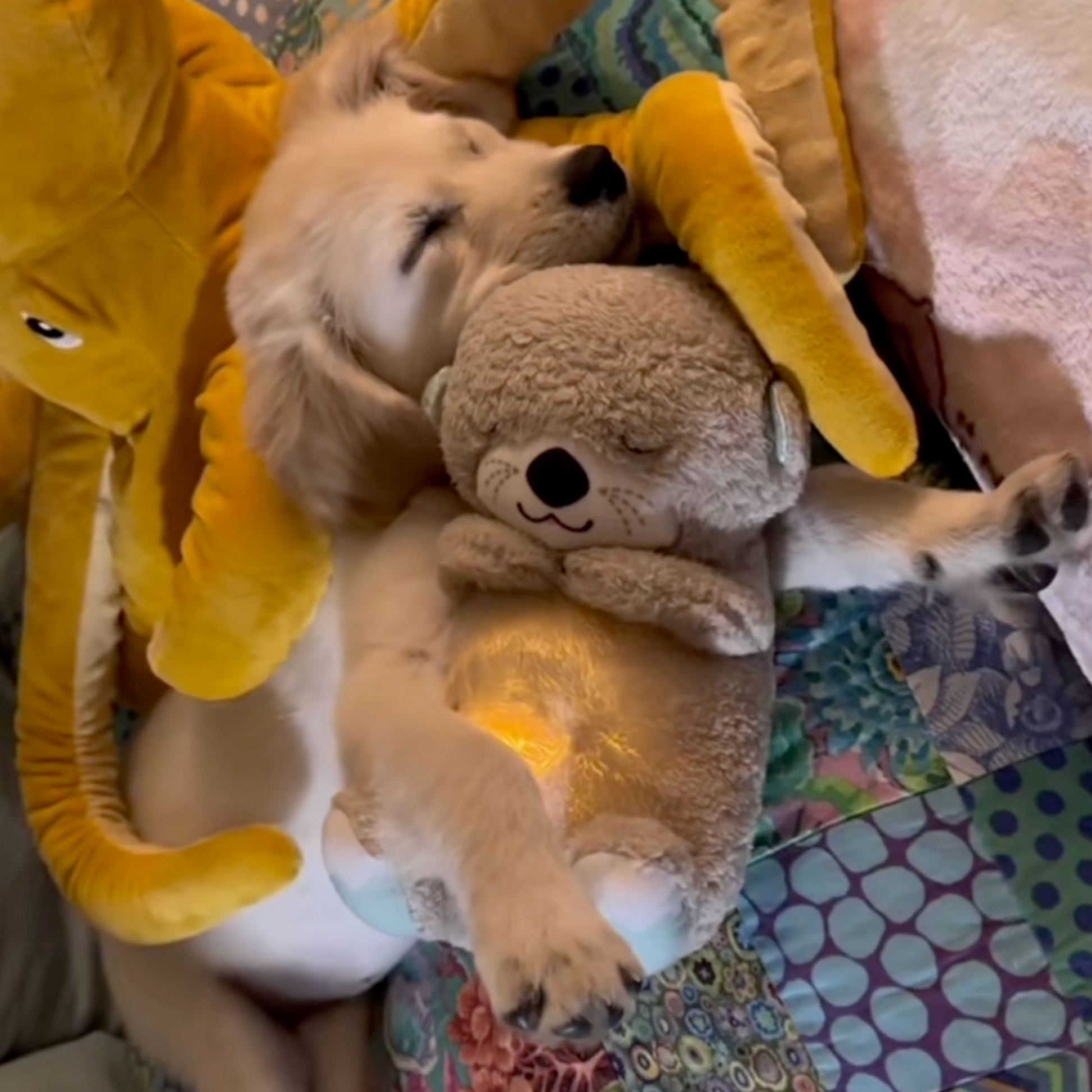 SnuggleOtter – lugnande hjertelyd