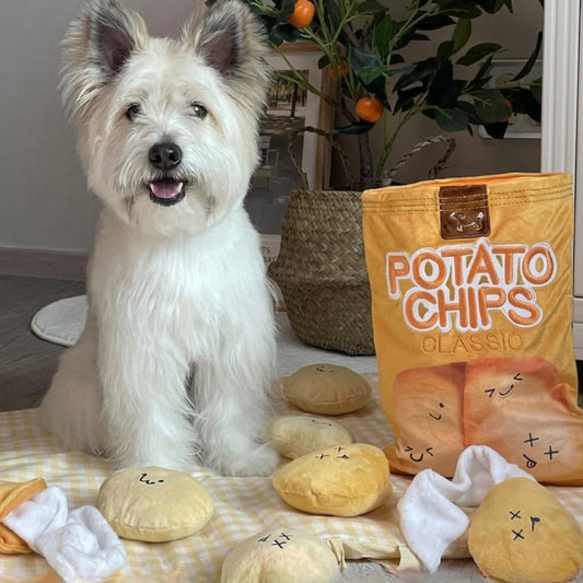 Hund som nosar i SniffleChips snuffelmatta