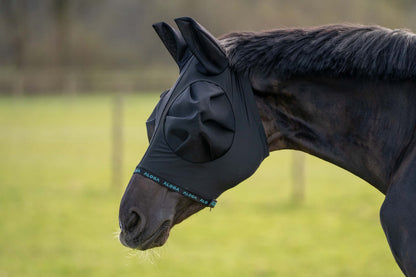 Häst i stallet med flugmask