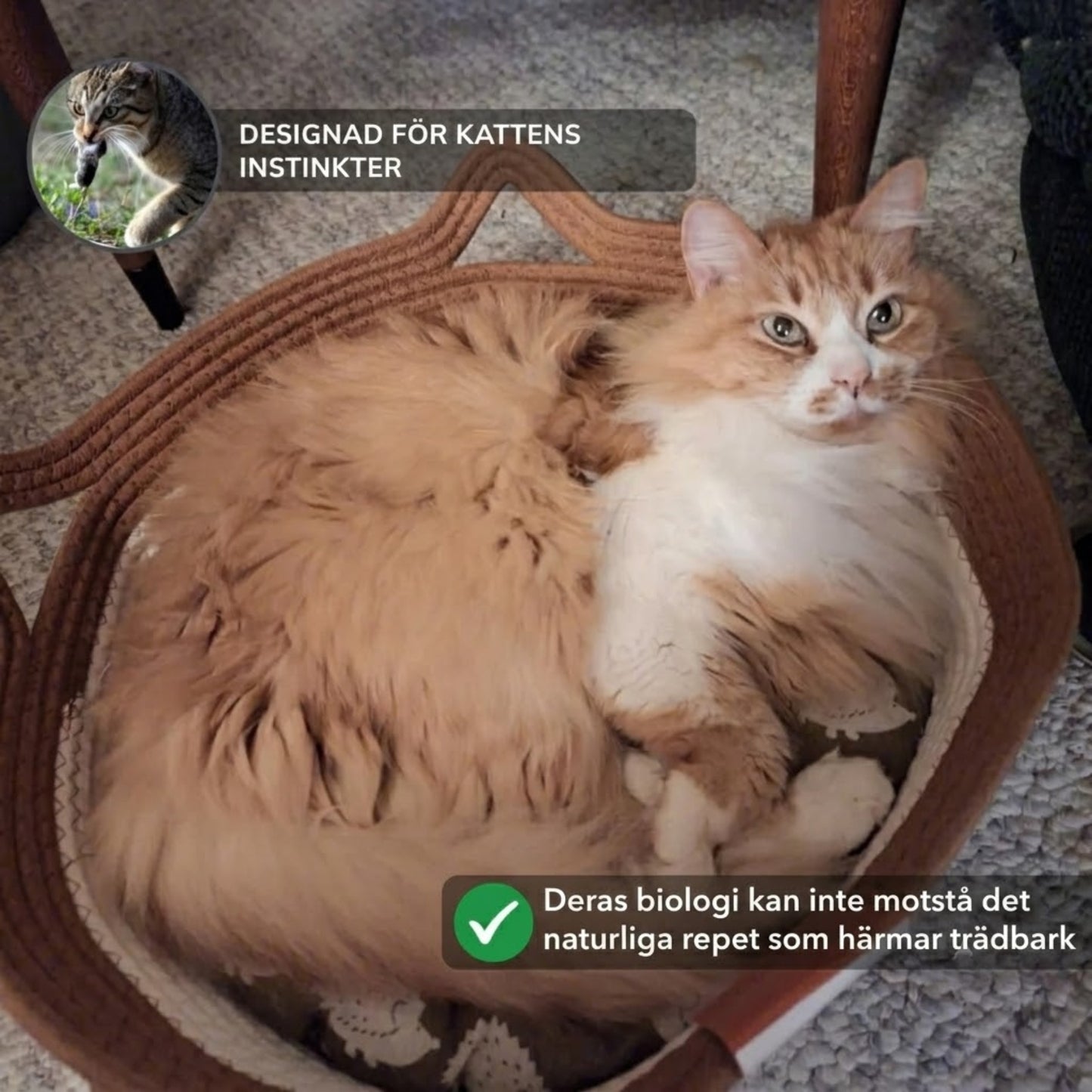 PurrNest - Den naturliga reviret som lugnar din innekatt