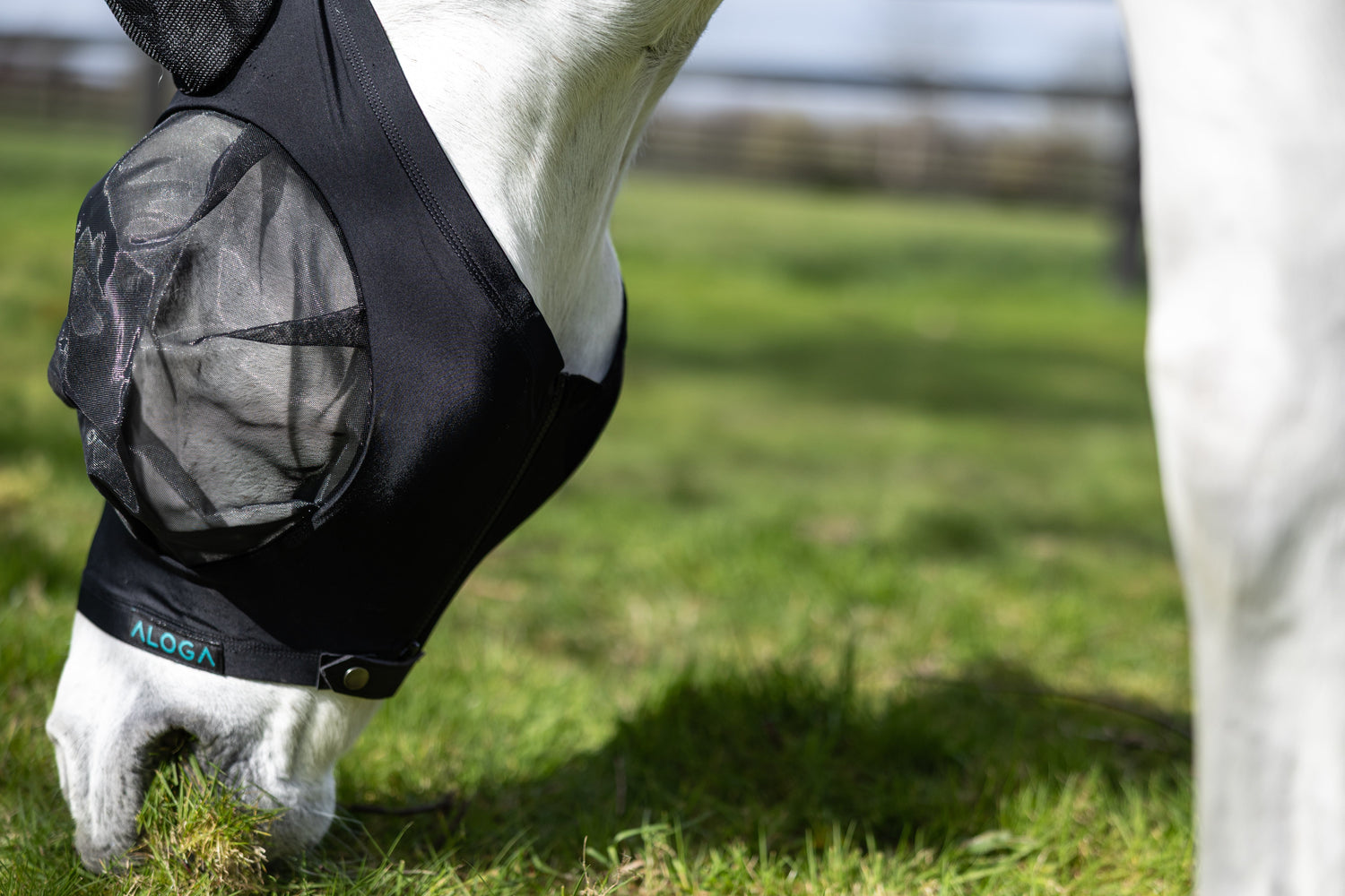 Flugmask sitter stadigt