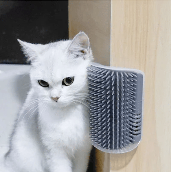 PurrCorner hörnmassageborste till katter