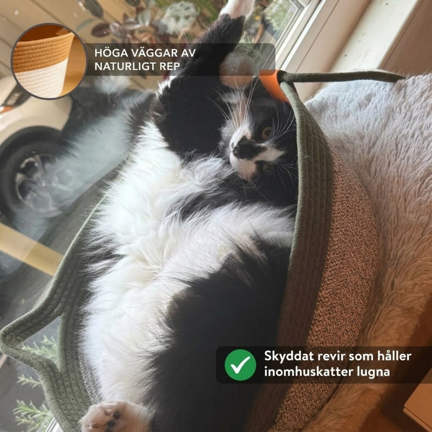 PurrNest - Den naturliga reviret som lugnar din innekatt