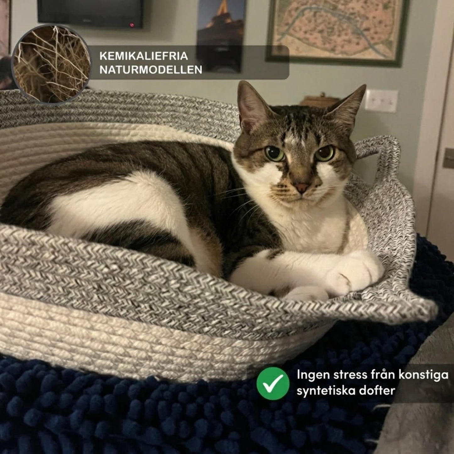 PurrNest - Den naturliga reviret som lugnar din innekatt