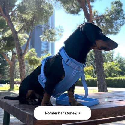 StrollReady – Allt för en trygg och bekväm hundpromenad