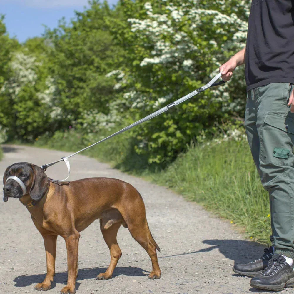 WalkEasy – Anti-træk Hundeline