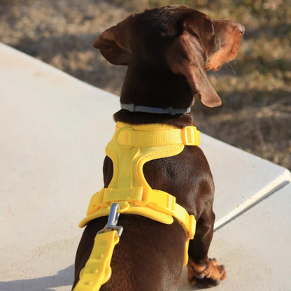 StrollReady – Allt för en trygg och bekväm hundpromenad