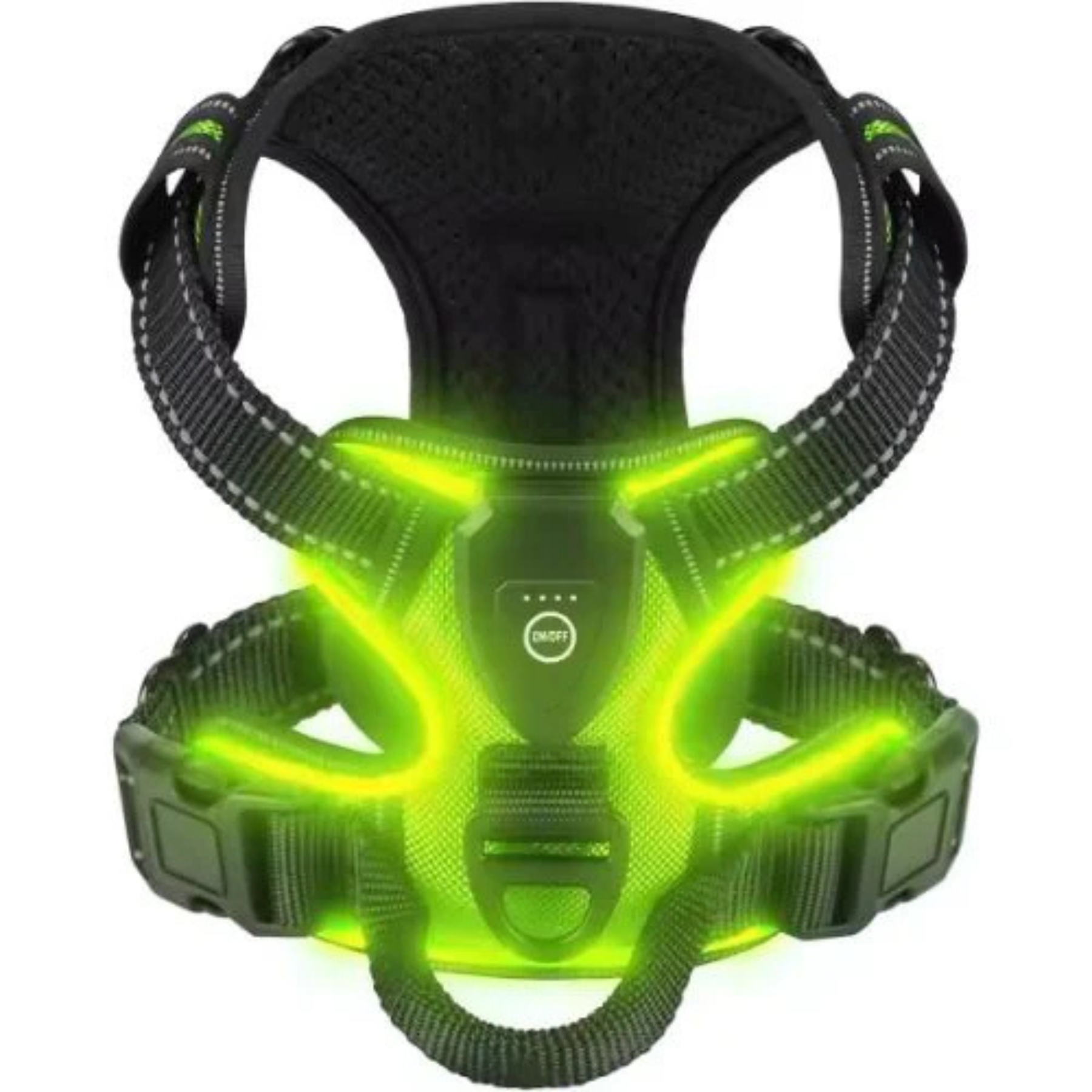 GlowGuard LED hundsele grön