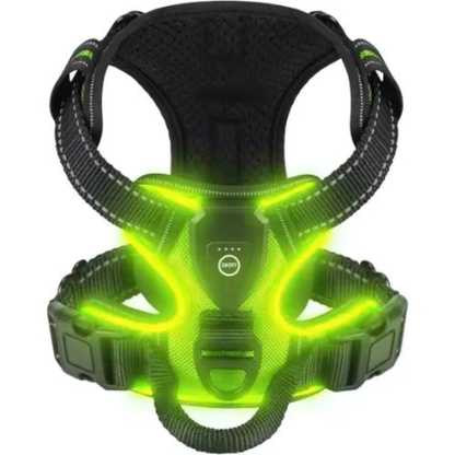 GlowGuard LED hundsele grön