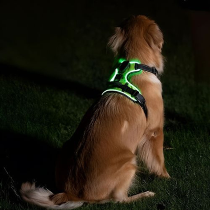 GlowGuard sele USB-uppladdning