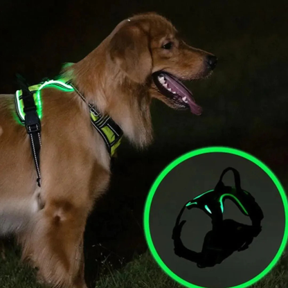 GlowGuard lysende hundsele