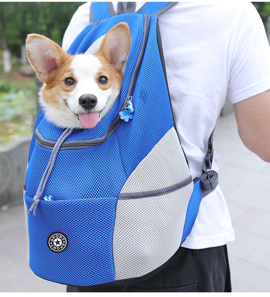 Hond kijkt uit BuddyPack drager