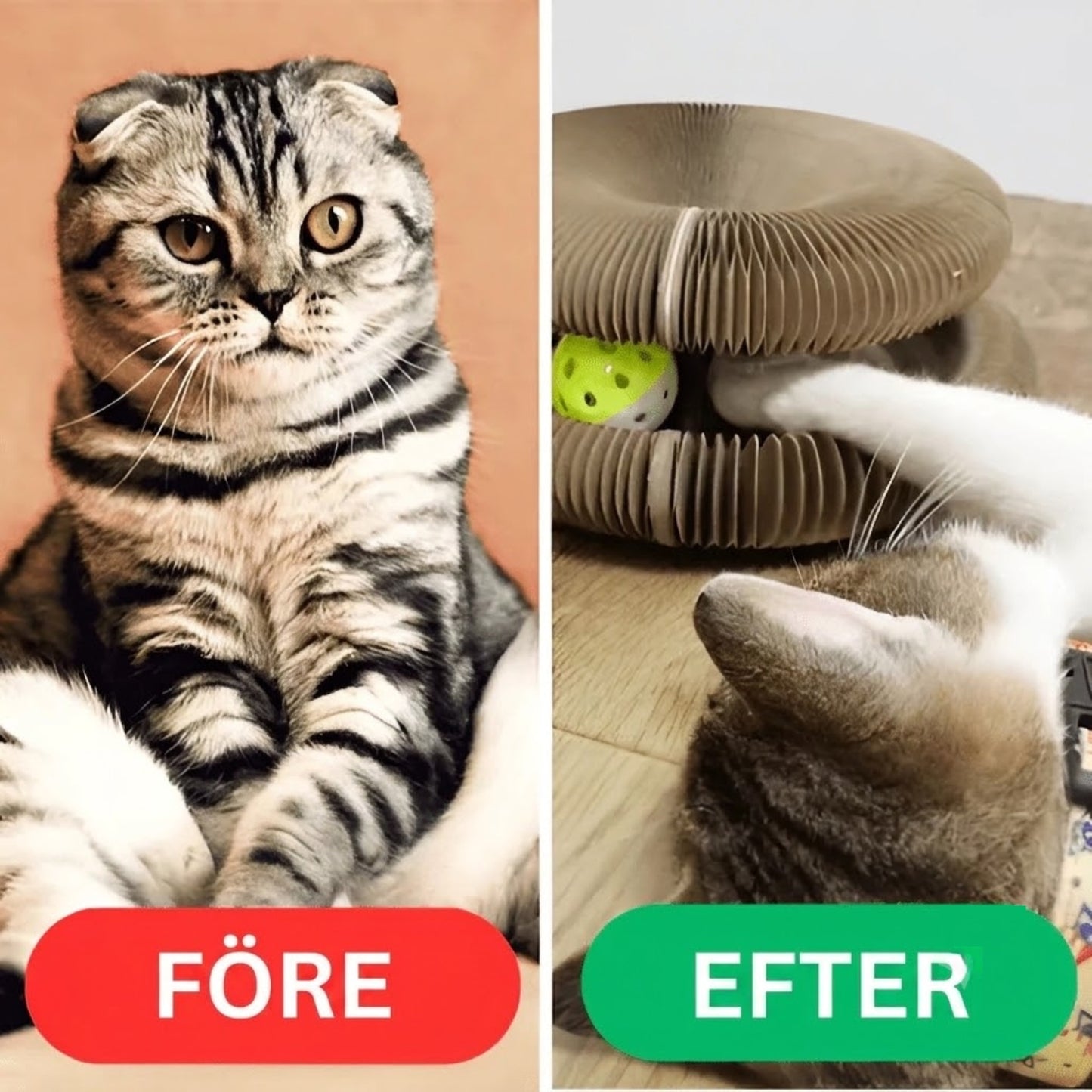 KattVirvel - Interaktiv klöstallrik som håller din katt sysselsatt i timmar