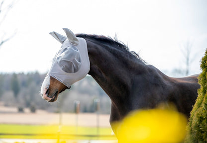 Häst betar lugnt med flugmask