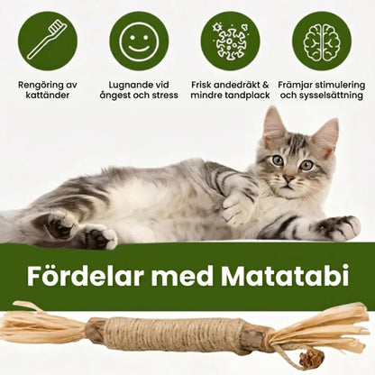 Matatabi Sticks - Naturliga Tuggpinnar för Katter