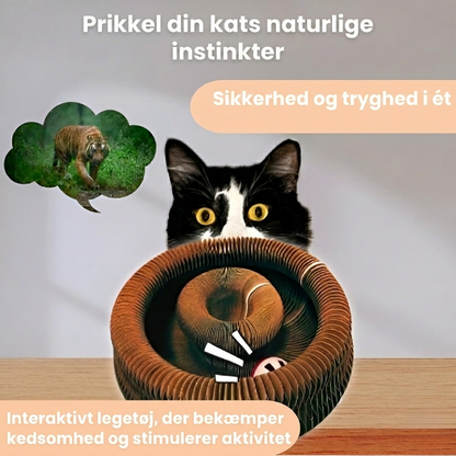 KattenWervel Interaktiv klöstallrik som håller din katt sysselsatt i timmar, bild 4