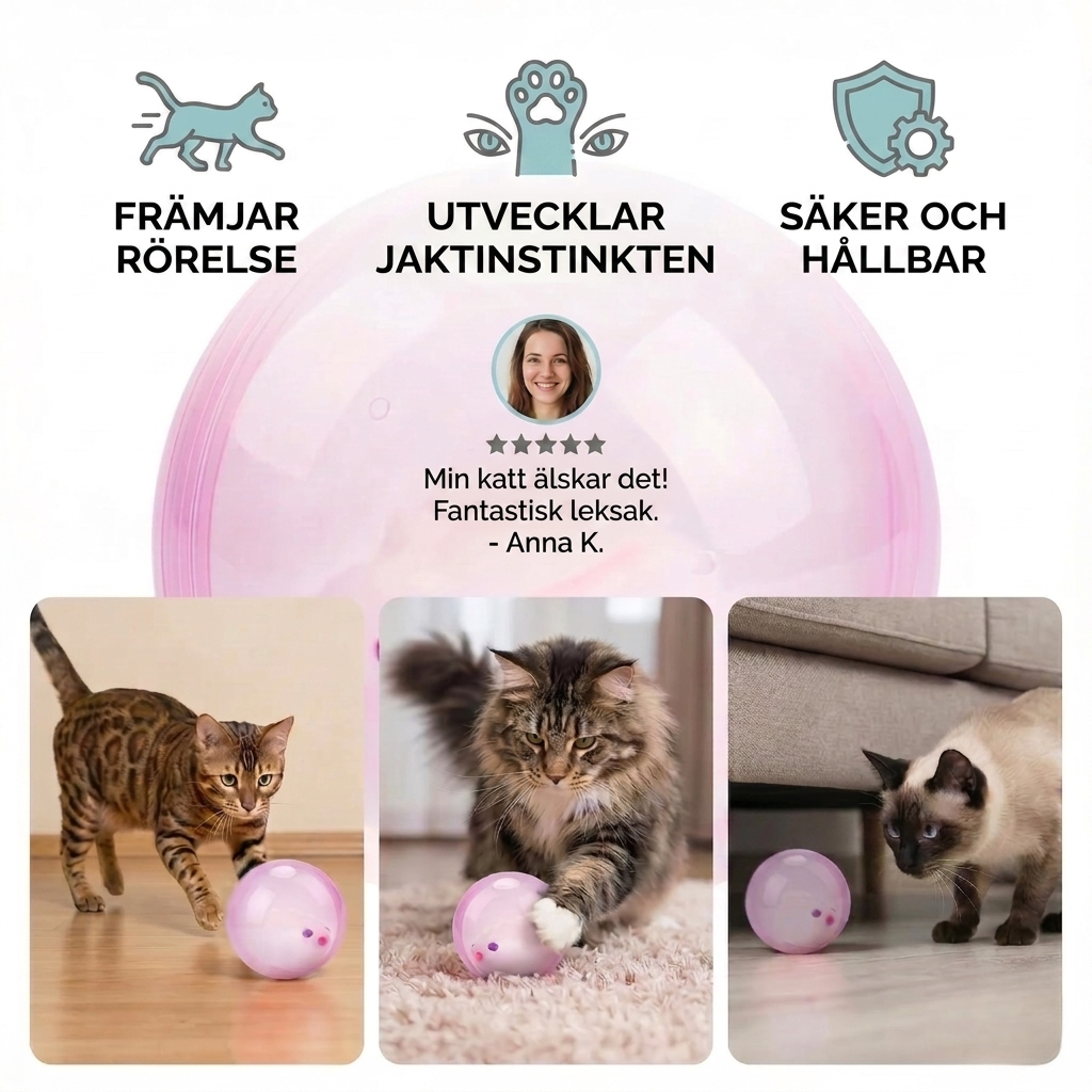 HamsterRul Hamsterbollen som katter inte kan motstå, bild 2