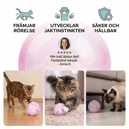 HamsterRul Hamsterbollen som katter inte kan motstå, bild 2