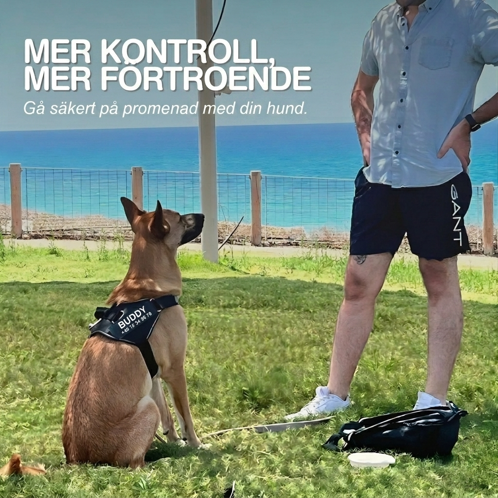 SafeTag Personaliserad Antidrag Hundsele, bild 2