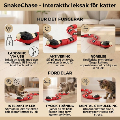 SnakeChase, bild 3