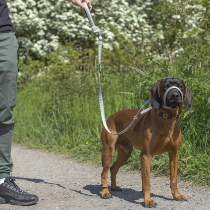 WalkEasy – Anti-træk Hundeline