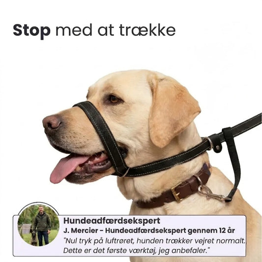 WalkEasy – Anti-træk Hundeline