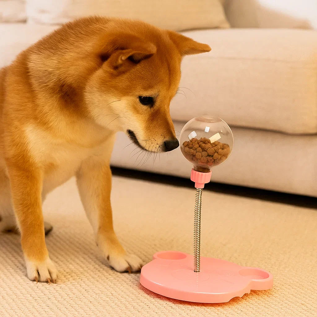 Hund leker med WobbleSnack