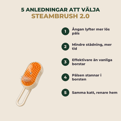 Fem anledningar att välja SteamBrush 2.0