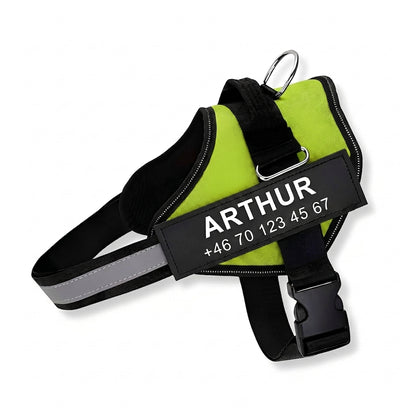 Limegrön SafeTag hundsele med personlig namnbricka