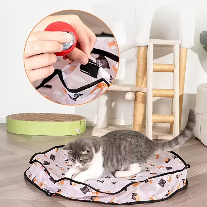 Katt leker med PeekBall skjult boll