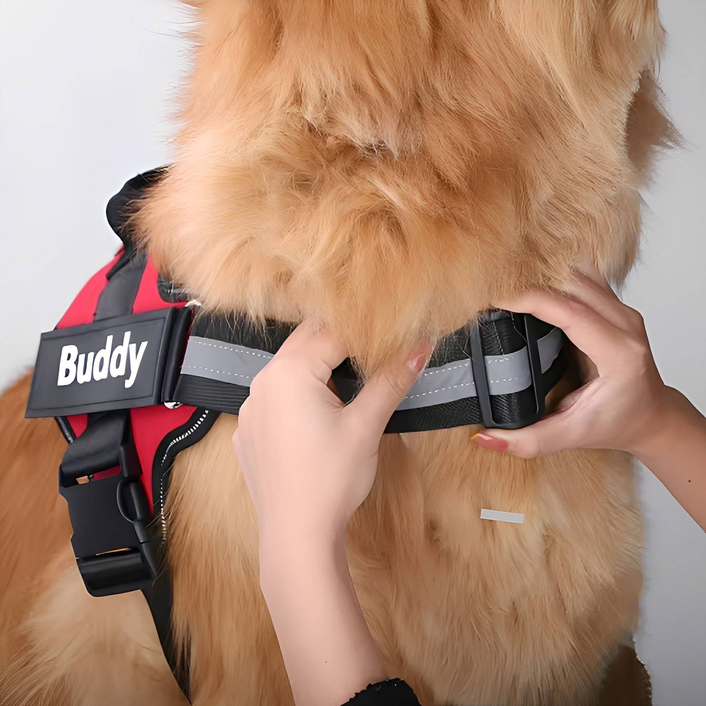 SafeTag justerbar hundsele