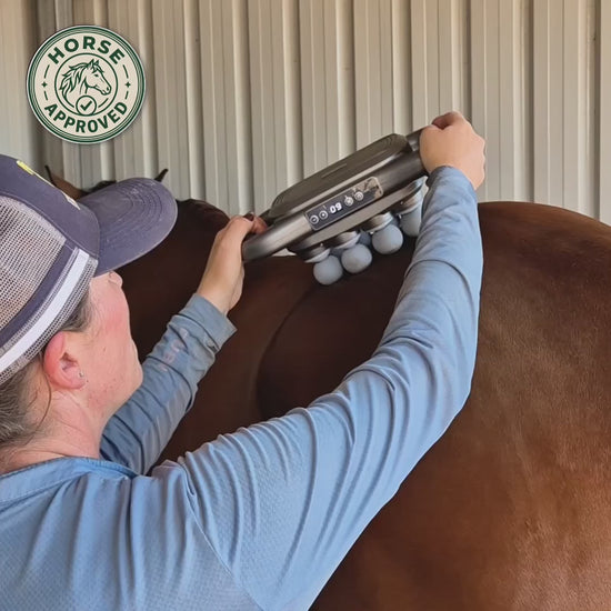 EquiGlow rött ljus massage på häst, Horse Approved
