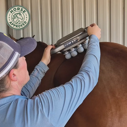 EquiGlow rött ljus massage på häst, Horse Approved