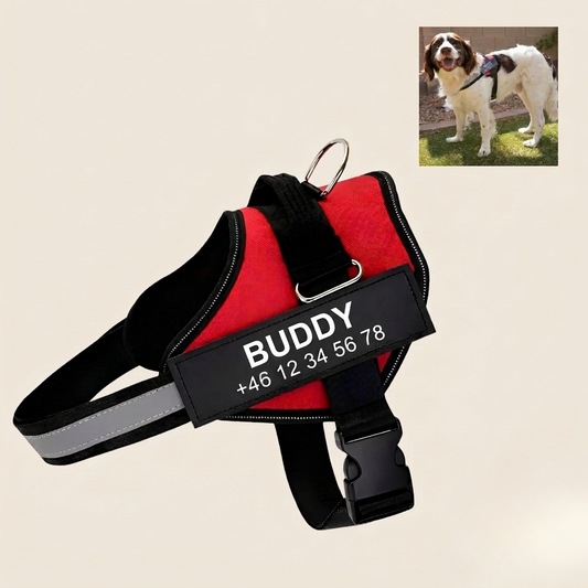 SafeTag Personaliserad Antidrag Hundsele
