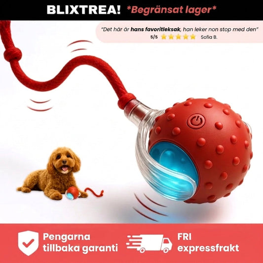 FlashTail leksak, blixtrea med garanti