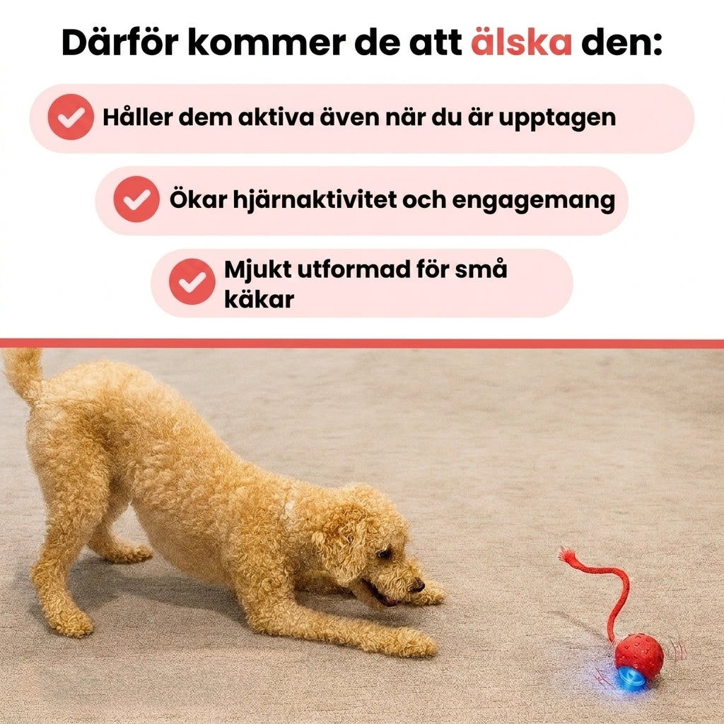 Därför älskar hundar FlashTail leksak