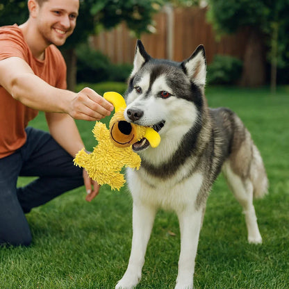 Hund tygger på GiggleBite legetøj