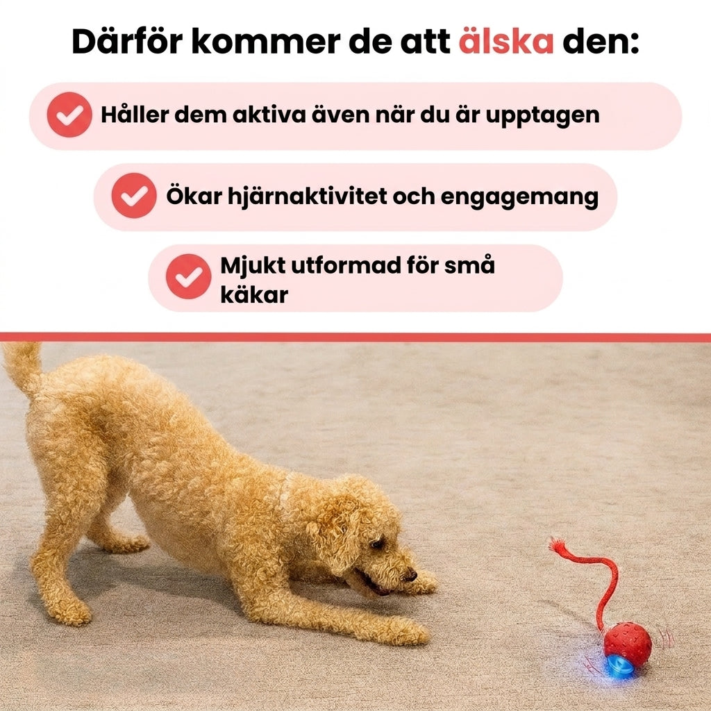 Därför älskar hundar FlashTail leksak