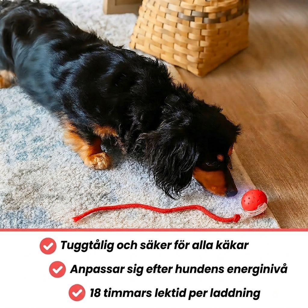 FlashTail fördelar, tuggtålig och laddningsbar