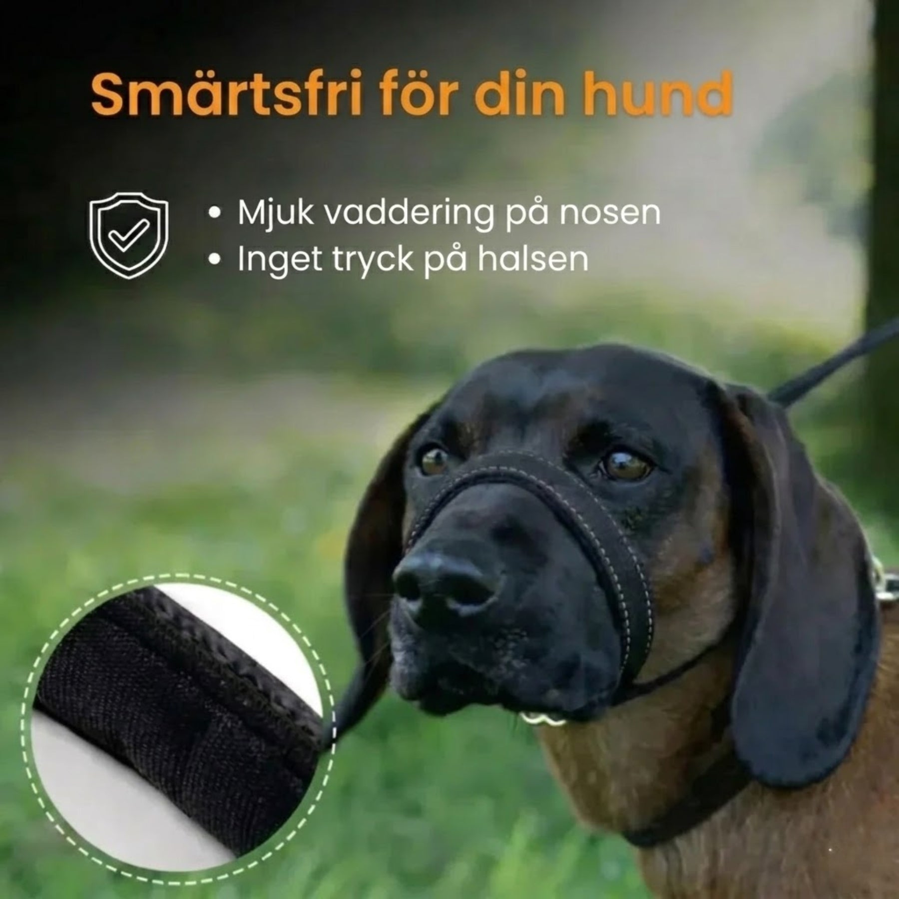 WalkEasy – Smärtsfri för din hund