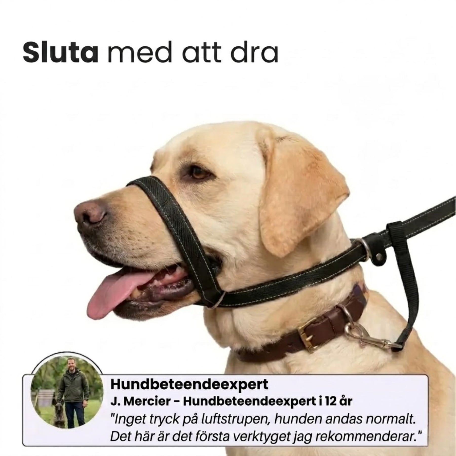 WalkEasy – Sluta med att dra