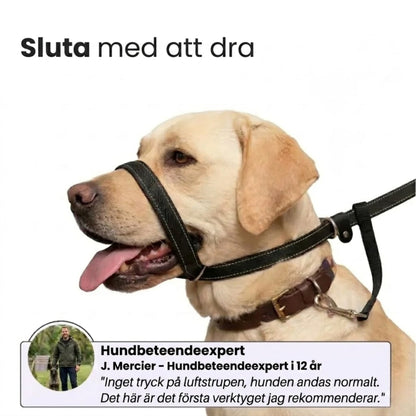 WalkEasy – Sluta med att dra