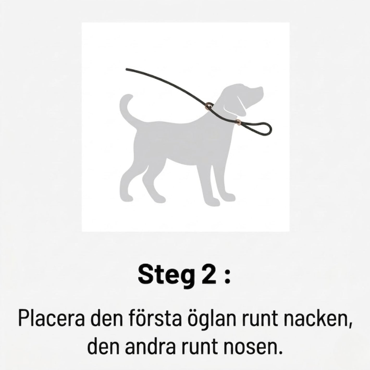 WalkEasy steg-bild