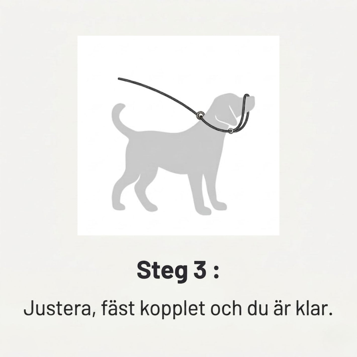 WalkEasy Steg 3 v2
