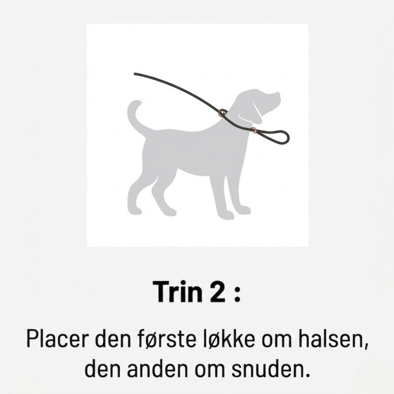 walkeasy-trin-2.jpg