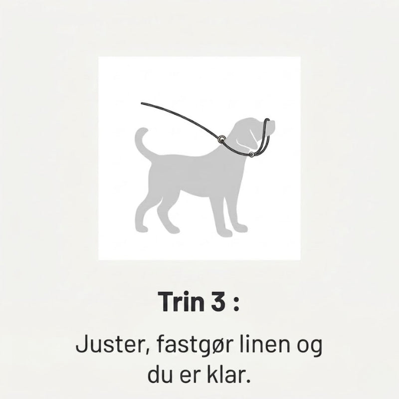 walkeasy-trin-3.jpg